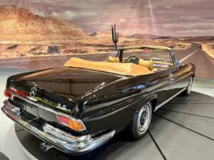 Bild 15/36 von Mercedes-Benz 280 SE 3,5 (1970)