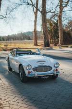 Bild 8/44 von Austin-Healey 3000 Mk III (BJ8) (1966)