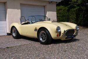Bild 1/51 von AC Cobra 289 (1999)