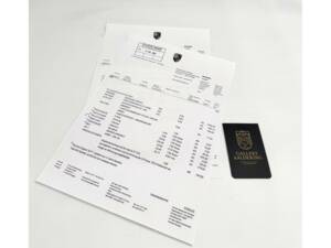 Afbeelding 10/50 van Porsche 918 Spyder (2015)