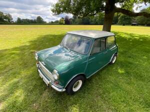 Bild 31/41 von Morris Mini Cooper 998 (1964)