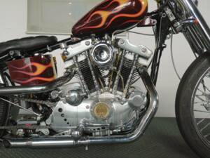 Imagen 24/24 de Harley-Davidson Easy Rider Billy Bike (1900)