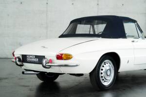 Image 26/50 of Alfa Romeo 1600 Spider Duetto (1966)