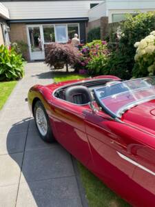 Bild 30/150 von Austin-Healey 100/4 (BN1) (1955)