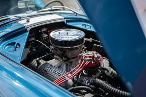 Immagine 13/44 di Everett-Morrison Shelby Cobra (1968)