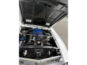 Image 34/50 de Ford Shelby GT 350 (1969)