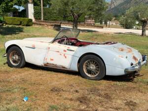 Bild 1/22 von Austin-Healey 3000 Mk II (BN7) (1960)