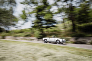 Bild 69/71 von Alfa Romeo Giulietta Spider (1960)