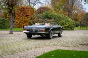 Imagen 10/30 de Mercedes-Benz 250 SL (1967)