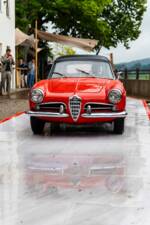 Bild 6/15 von Alfa Romeo Giulietta Spider Veloce (1961)