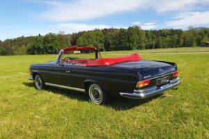 Imagen 9/53 de Mercedes-Benz 280 SE 3,5 (1970)