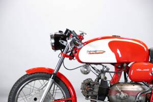 Immagine 43/50 di Aermacchi Ala Verde (1964)