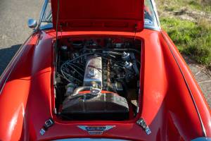 Bild 9/18 von Austin-Healey 3000 Mk II (BJ7) (1962)