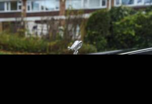 Image 8/27 of Rolls-Royce Silver Seraph (2000)