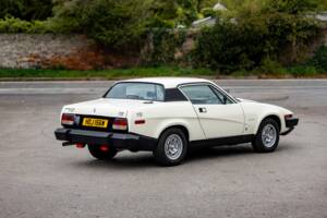 Image 15/50 of Triumph TR 7 Europa (1981)