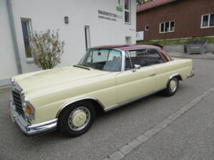 Bild 6/13 von Mercedes-Benz 280 SE 3,5 (1971)