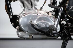 Immagine 21/50 di Ducati 250 Scrambler (1971)
