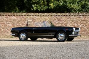 Bild 44/50 von Alfa Romeo 2000 Spider (1961)