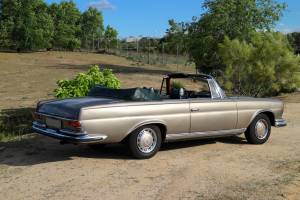Image 10/14 of Mercedes-Benz 280 SE (1971)