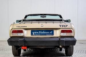 Immagine 4/50 di Triumph TR 8 (1980)