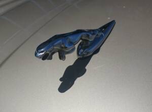 Image 16/25 of Jaguar XJ 8 4.2 (2003)