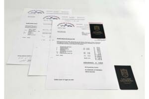 Immagine 9/50 di Bugatti Type 49 (1931)