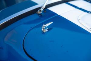 Image 22/68 of Shelby Cobra 289 (1966)