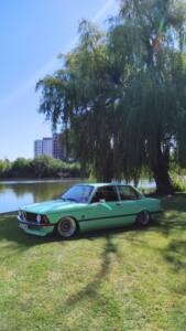 Afbeelding 17/44 van BMW 315 (1983)