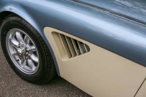 Bild 37/42 von Austin-Healey 3000 Mk II (BN7) (1961)
