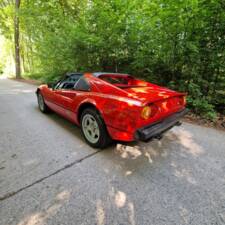 Immagine 7/82 di Ferrari 308 GTS Quattrovalvole (1983)