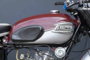 Image 5/23 of Triumph T 20 Tiger Cub (1960)