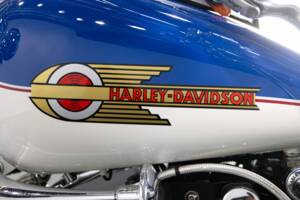 Immagine 47/50 di Harley-Davidson FXSTS Softail Springer (2000)