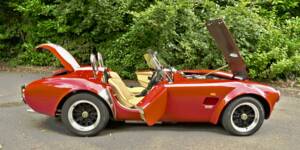 Image 18/50 de AC Cobra 289 (2000)