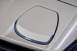 Immagine 33/50 di Triumph TR 8 (1980)