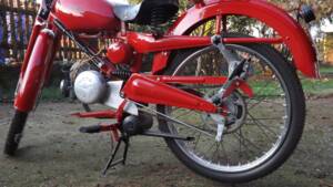 Immagine 5/41 di Moto Guzzi Motoleggera 65 (1952)