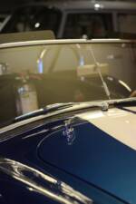 Image 20/57 of AC Cobra 427 (1965)