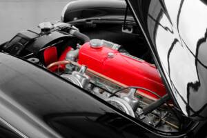 Bild 22/37 von Austin-Healey 100&#x2F;6 (BN4) (1959)