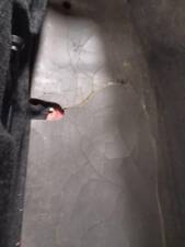 Immagine 30/55 di Maserati Spyder (1991)