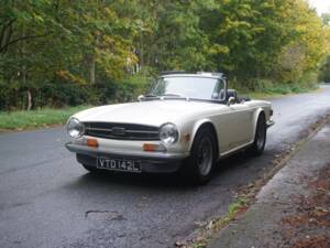 Bild 3/24 von Triumph TR 6 PI (1973)
