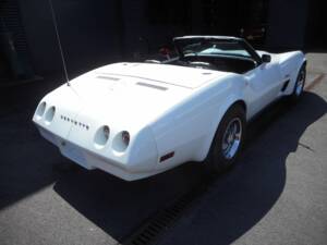 Immagine 9/28 di Chevrolet Corvette Stingray (1974)