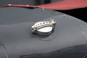 Bild 29/72 von Jaguar Special custom (1959)