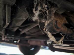 Bild 25/30 von Citroën Traction Avant 11 B (1955)