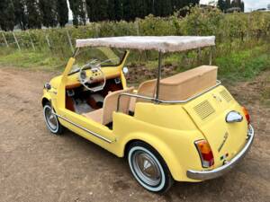Bild 54/80 von FIAT Ghia 500 Jolly (1972)