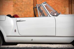 Image 20/70 of Lancia Aurelia B24 Convertible (1957)