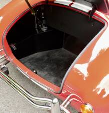 Image 33/50 de AC Cobra 289 (2000)