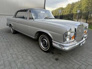 Immagine 5/36 di Mercedes-Benz 250 SE (1966)