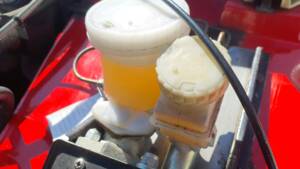 Afbeelding 37/53 van Austin-Healey Sprite Mk I (1960)