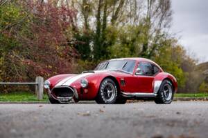 Afbeelding 12/50 van AC Cobra 289 (2000)