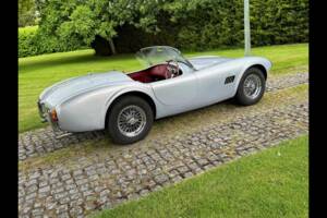 Bild 10/24 von AC Cobra 289 (2001)