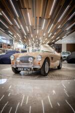 Immagine 15/50 di Austin-Healey 100/4 (BN1) (1954)